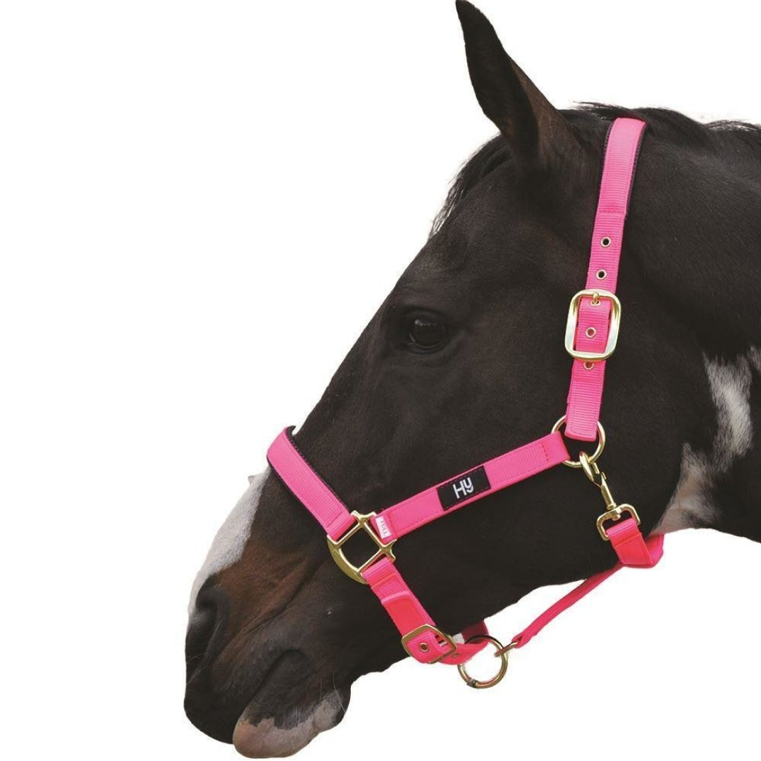 Hy Grand Prix Head Collar