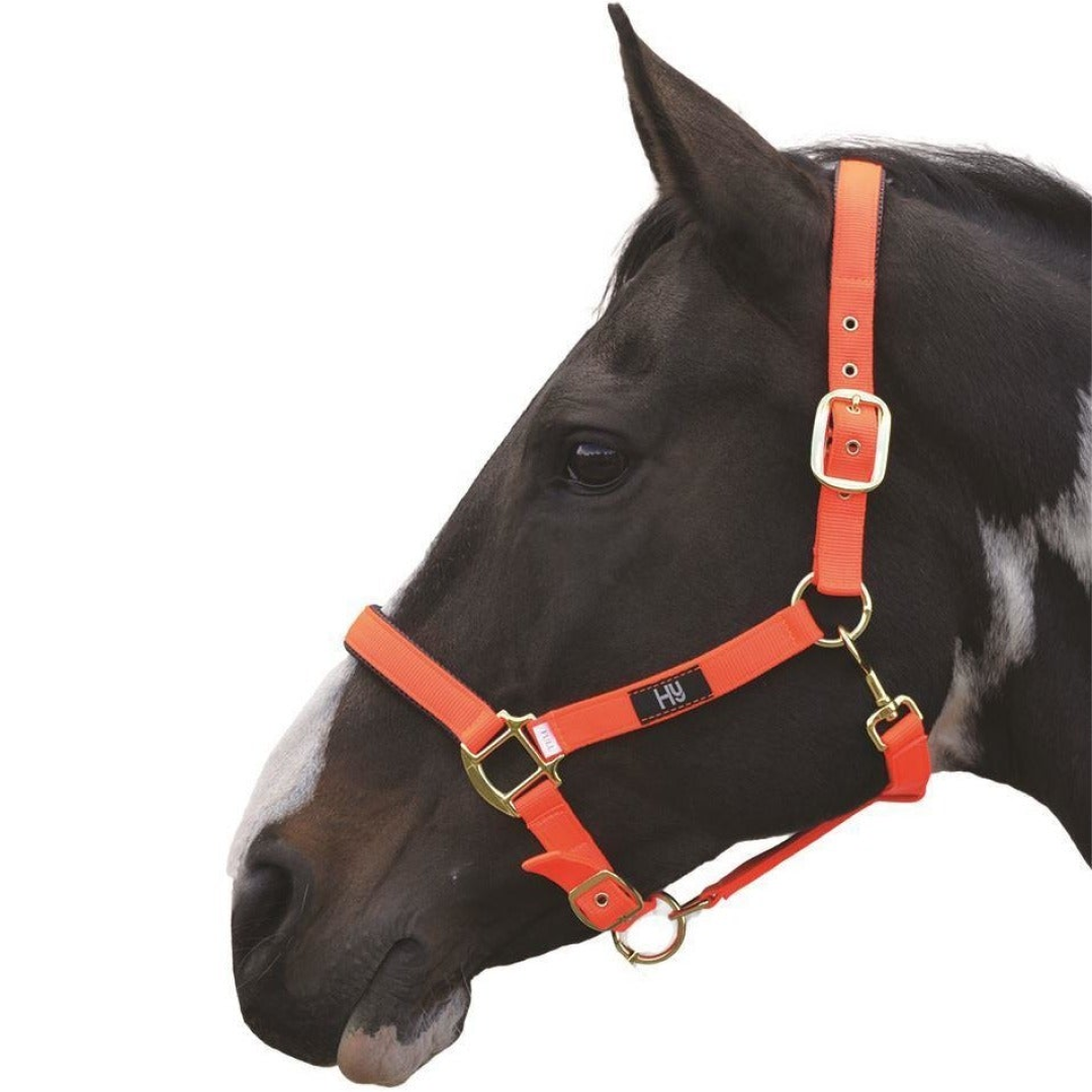 Hy Grand Prix Head Collar