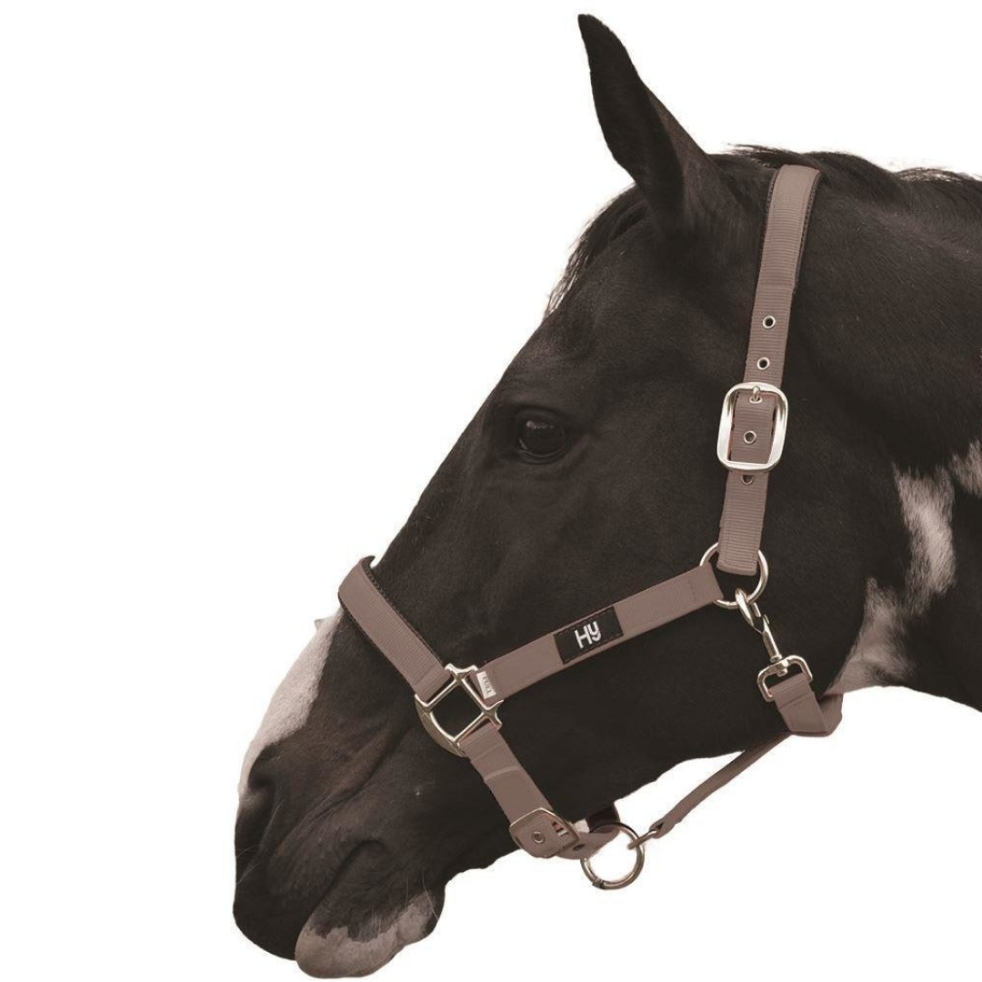 Hy Grand Prix Head Collar