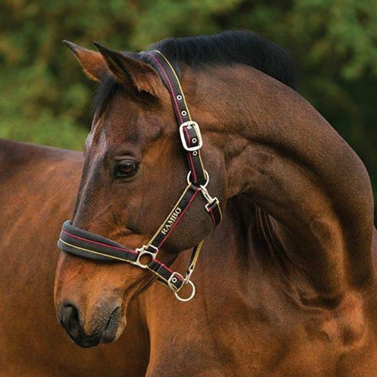 Horseware Ireland Rambo Padded Headcollar