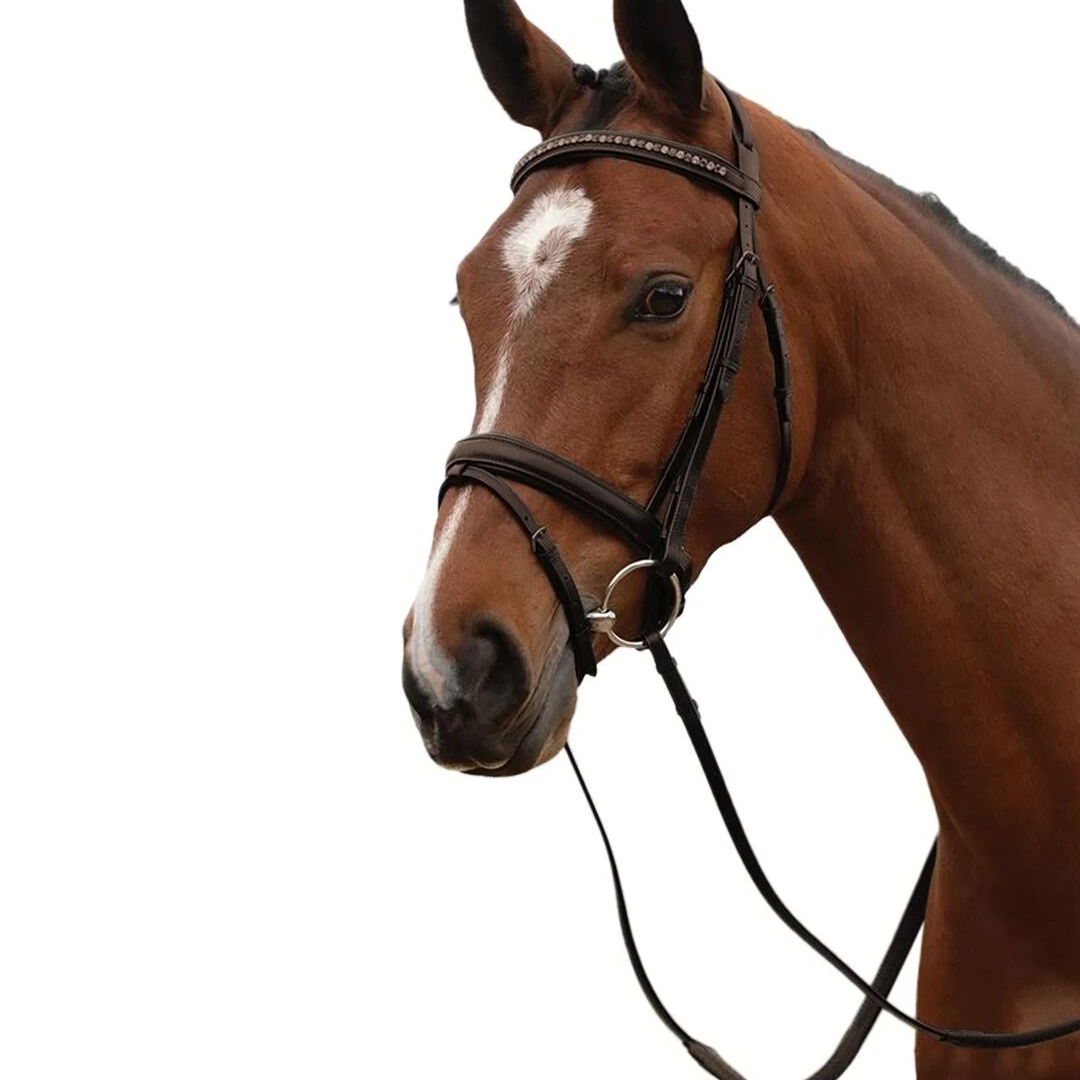 Kincade Padded Crystal Crank Flash Bridle