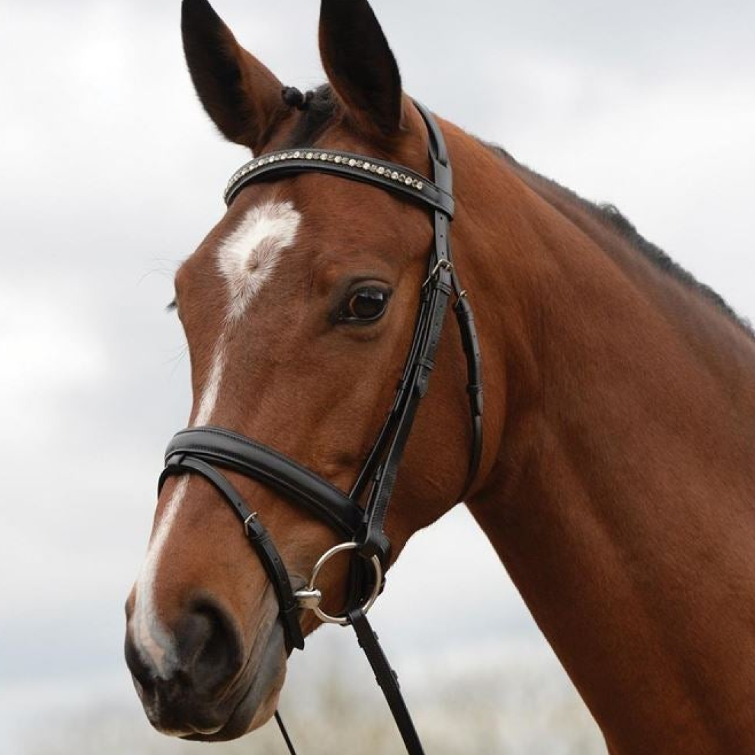 Kincade Padded Crystal Crank Flash Bridle