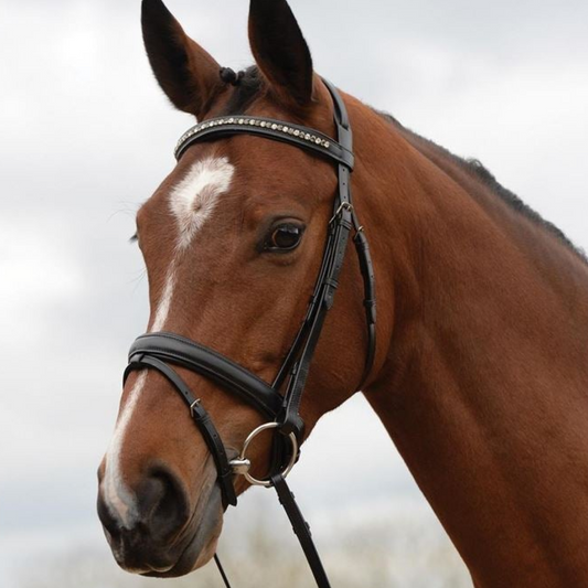 Kincade Padded Crystal Crank Flash Bridle