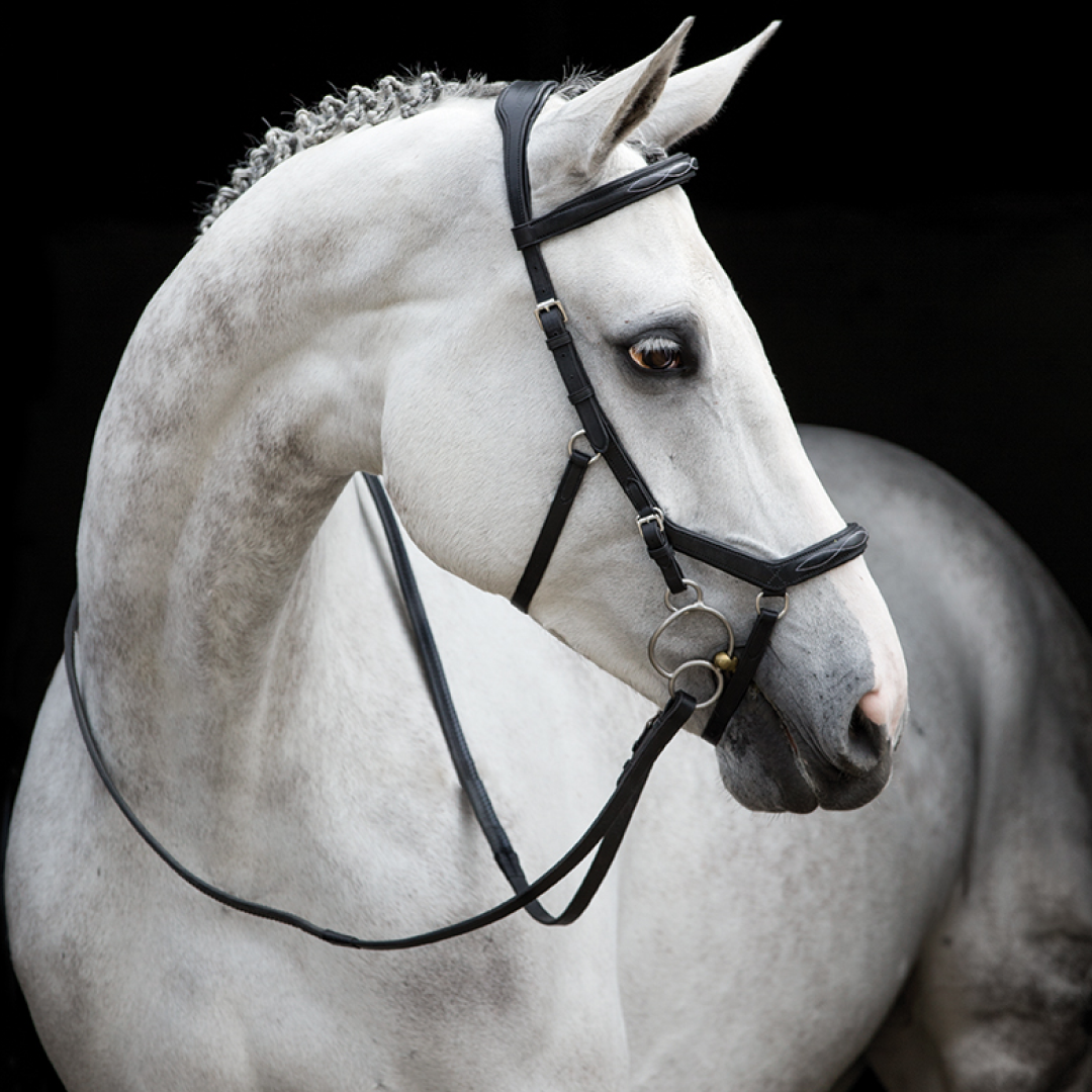 Horseware Ireland Rambo Micklem Deluxe Competition Bridle With Reins