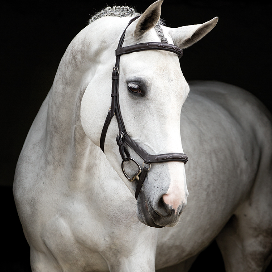 Horseware Ireland Rambo Micklem Deluxe Competition Bridle With Reins