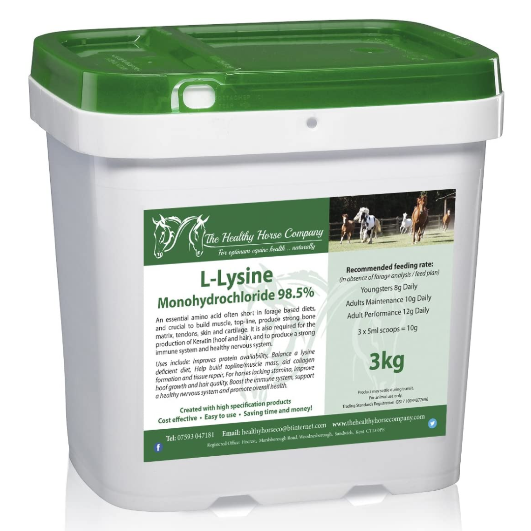 L-Lysine
