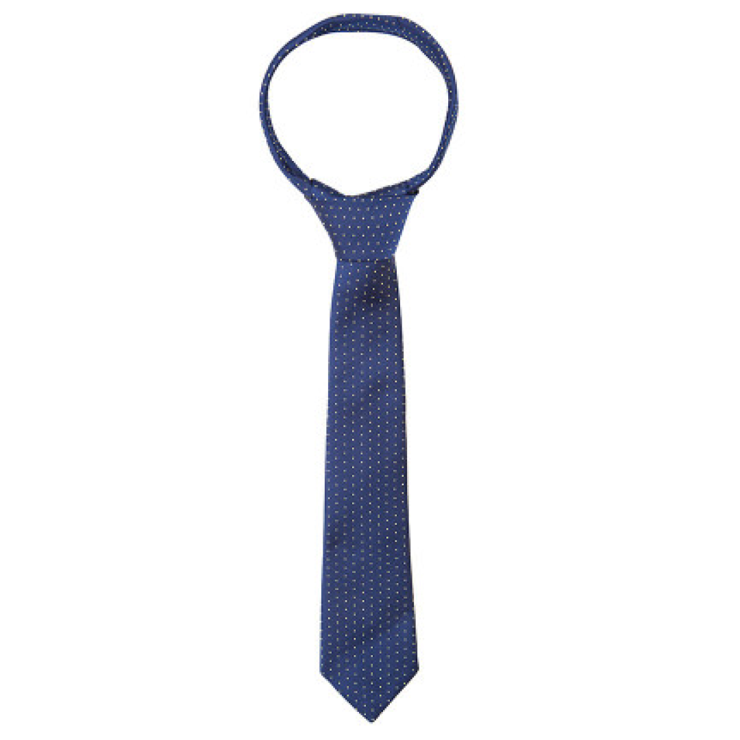 Supreme Products Show Tie