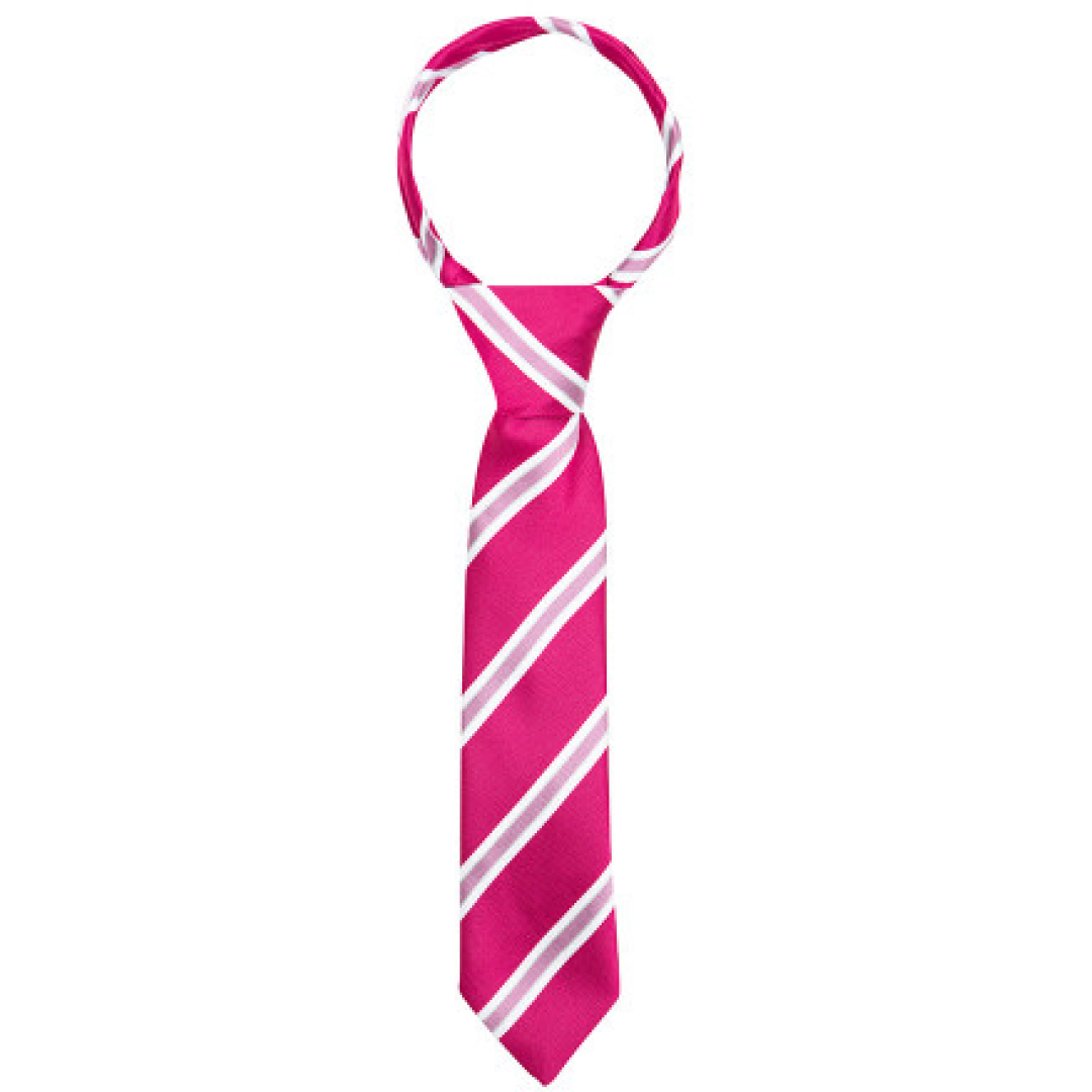 Supreme Products Show Tie