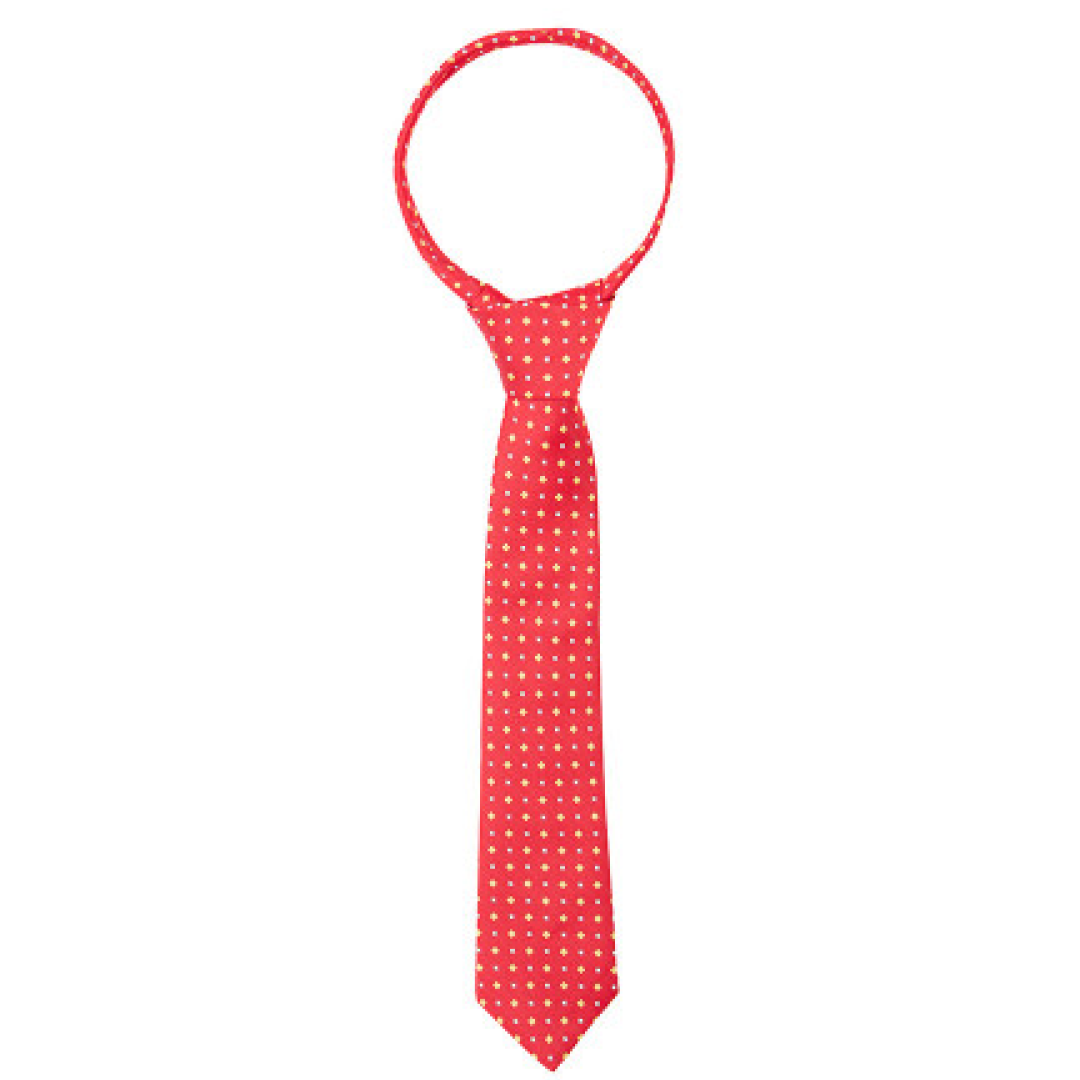 Supreme Products Show Tie