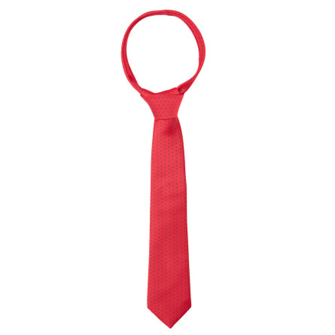 Supreme Products Show Tie