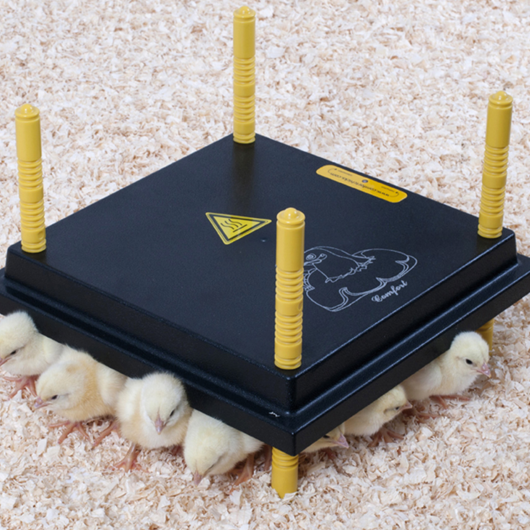Chicktec Comfort UK