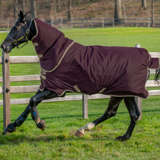 Horseware Ireland Amigo Hero 0g Turnout Rug