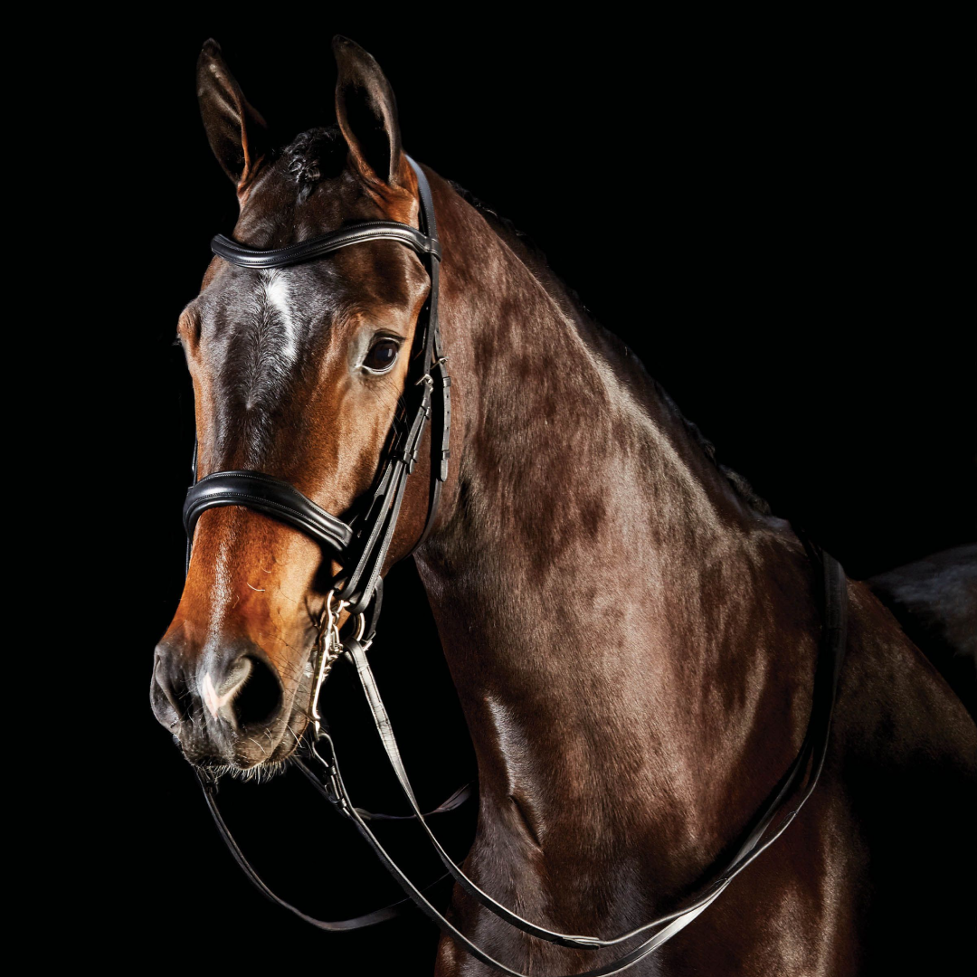 Collegiate Comfitec Black Weymouth Bridle