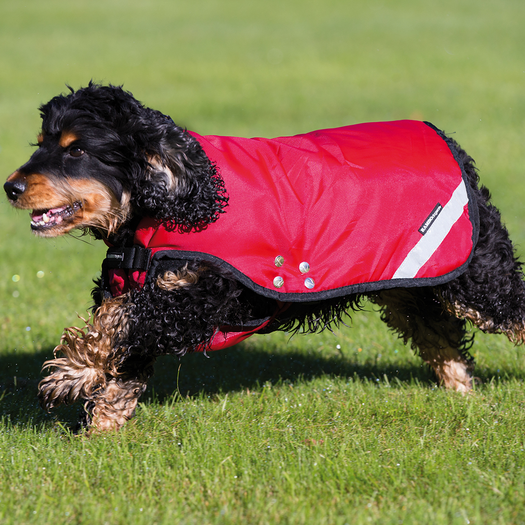 Horseware Ireland Rambo Duo Dog Rug