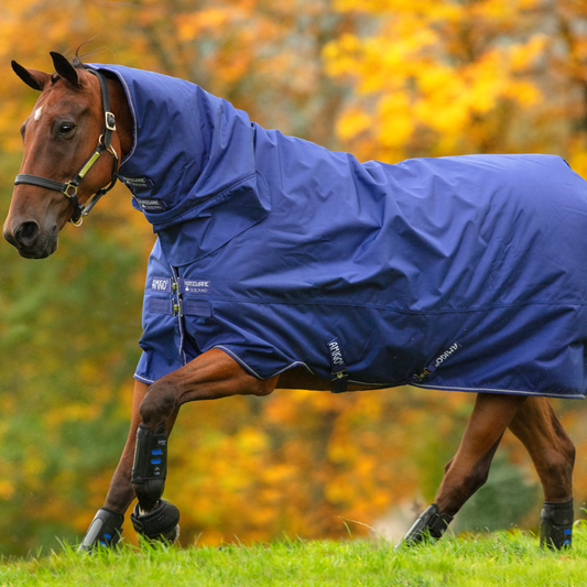 Horseware Ireland Amigo Hero 900 Plus Classic Front Closure Medium 200g