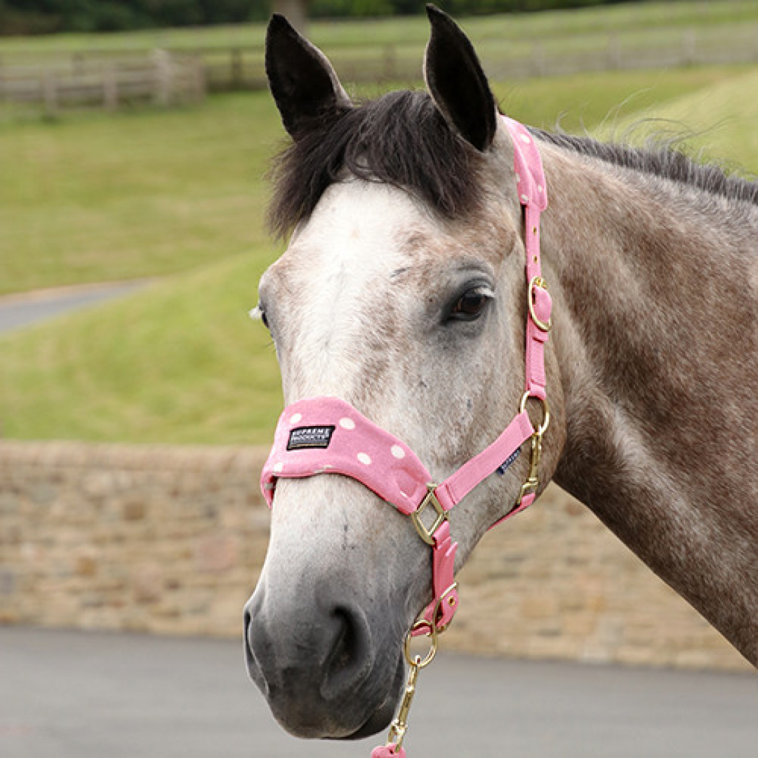 Supreme Products Dotty Fleece Head Collar & Lead Rope