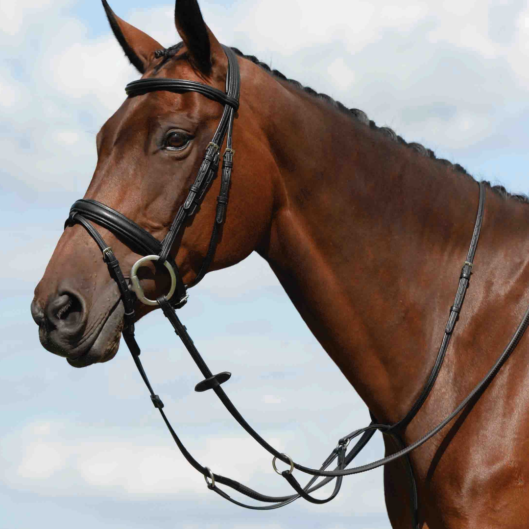 Collegiate Syntovia+ Flat Running Plain Martingale