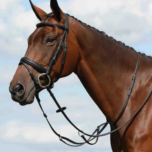 Collegiate Syntovia+ Flat Running Plain Martingale