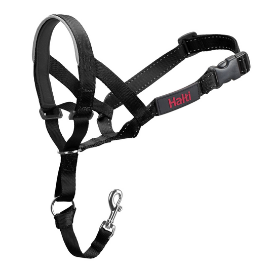 HALTI Headcollar