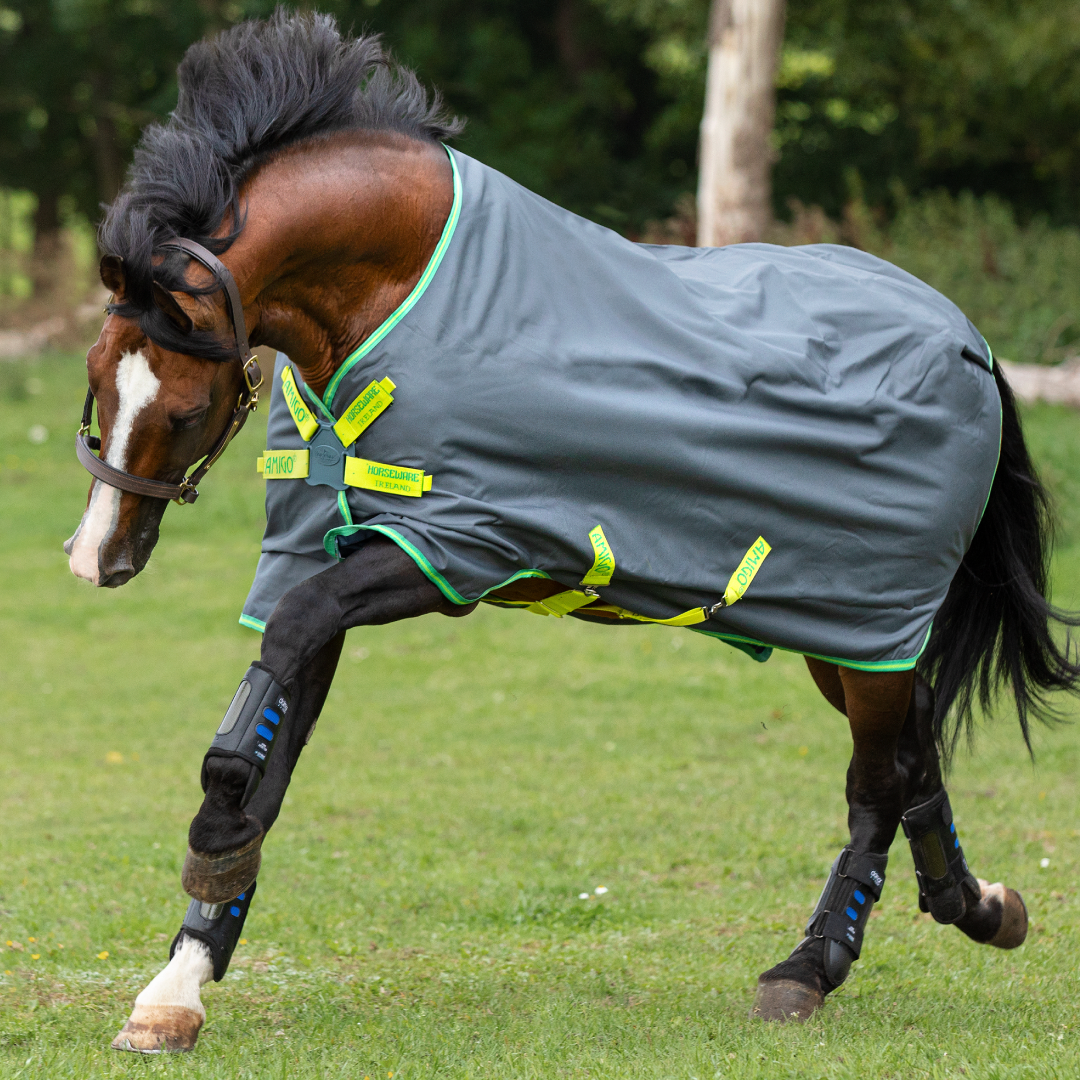 Horseware Ireland Amigo Hero 900 Turnout Medium 200g
