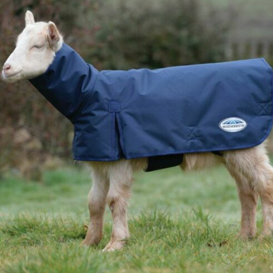Weatherbeeta Goat Coat With Neck