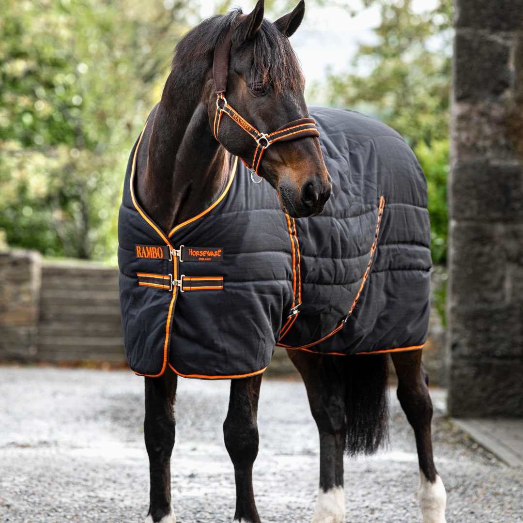 Horseware Ireland Rambo Stable 200g