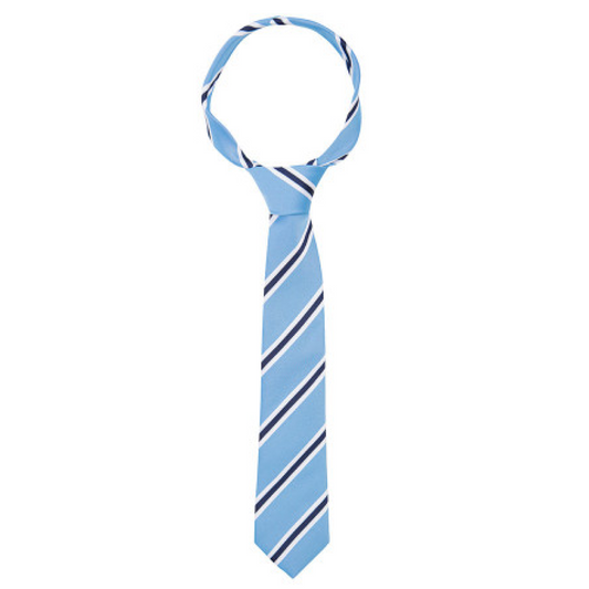 Supreme Products Show Tie