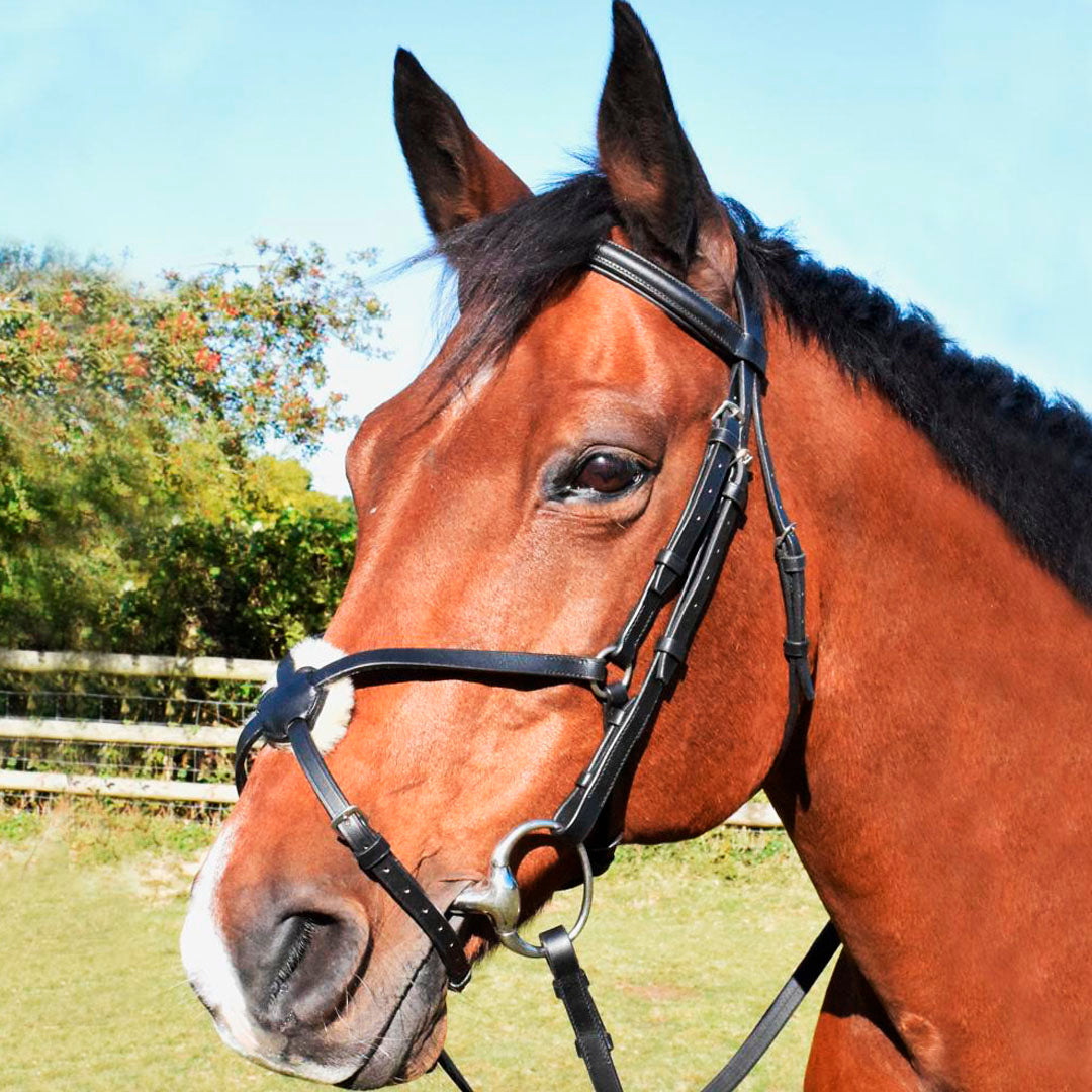 JHL Leather Grackle Bridle