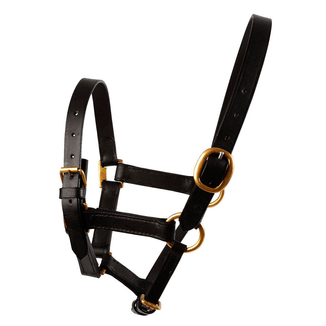 JHL Leather Foal Headcollar