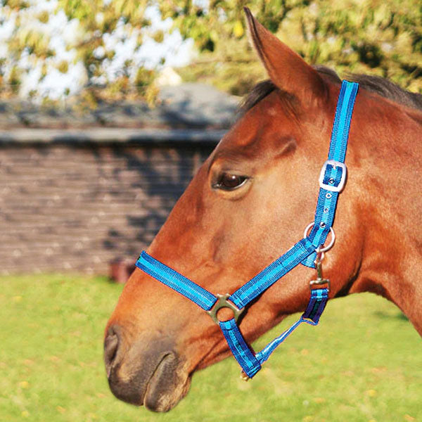 JHL Standard Headcollar