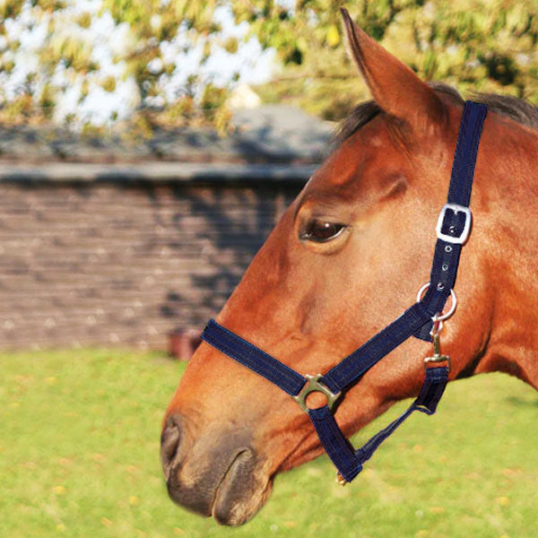 JHL Standard Headcollar