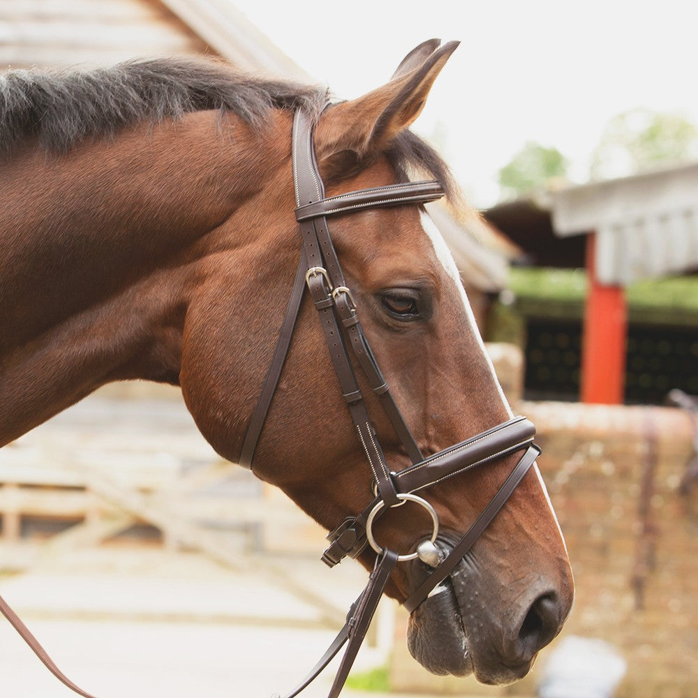 KM Elite Competition Bridle