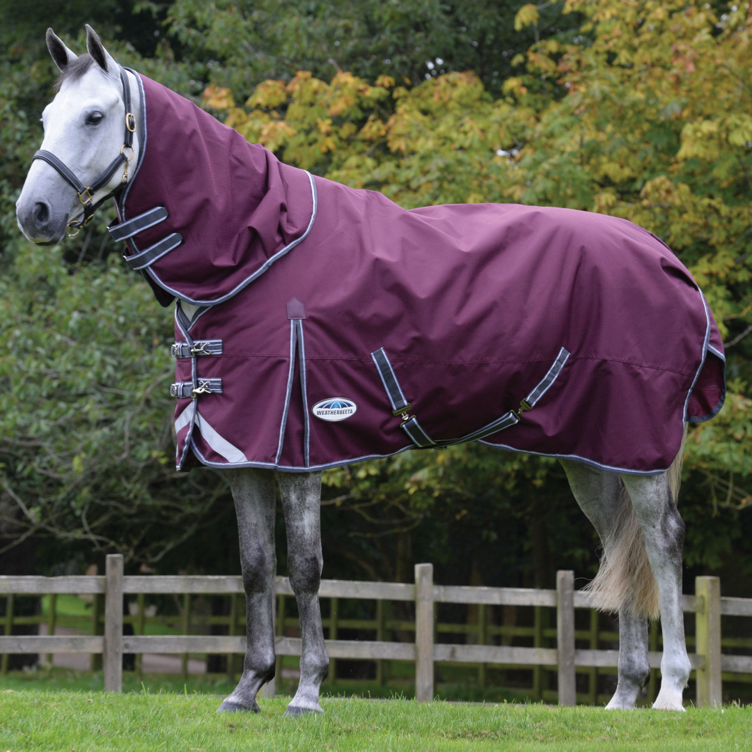 Weatherbeeta Comfitec Plus Dynamic II Detach-A-Neck Lite