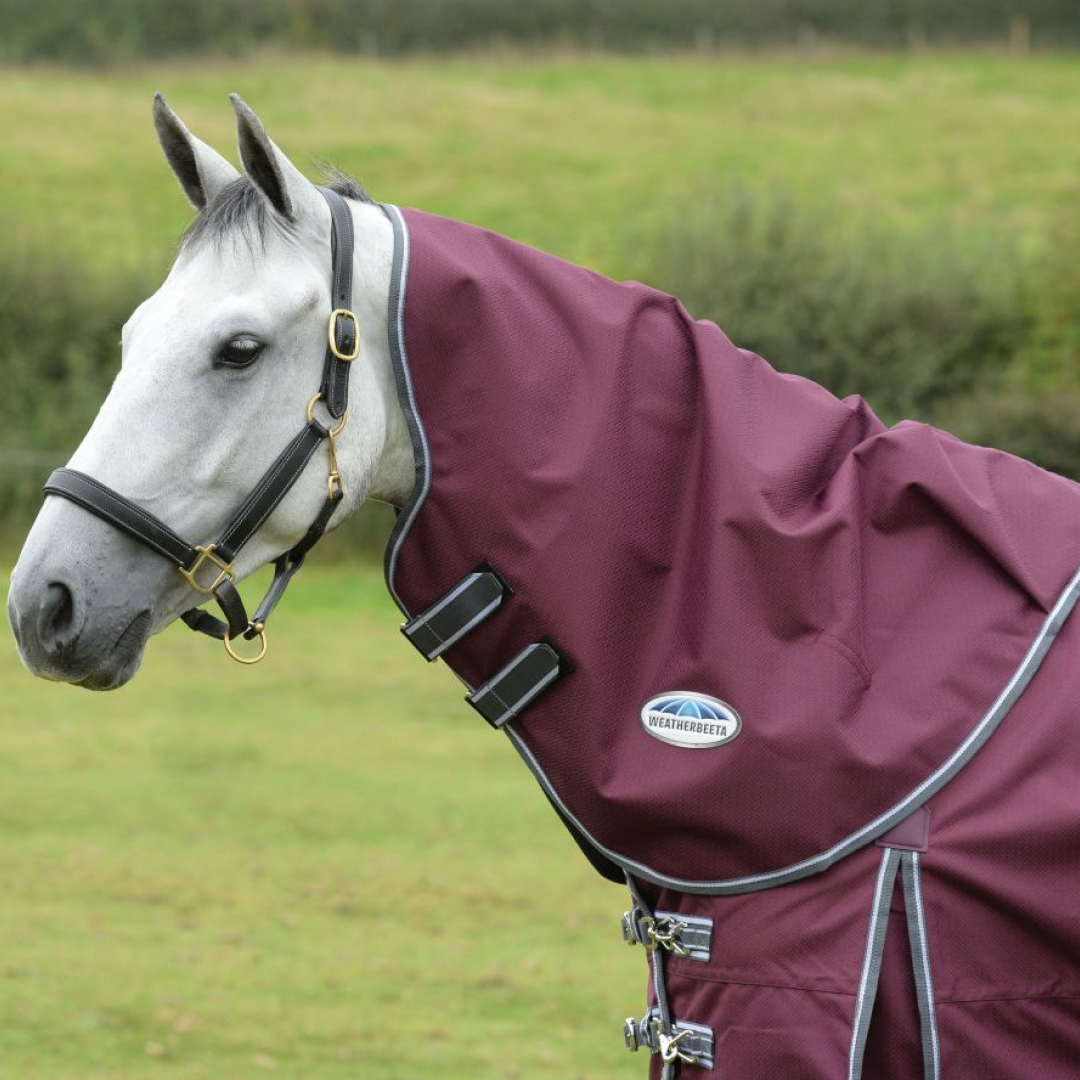 Weatherbeeta Comfitec Plus Dynamic II Neck Rug Lite
