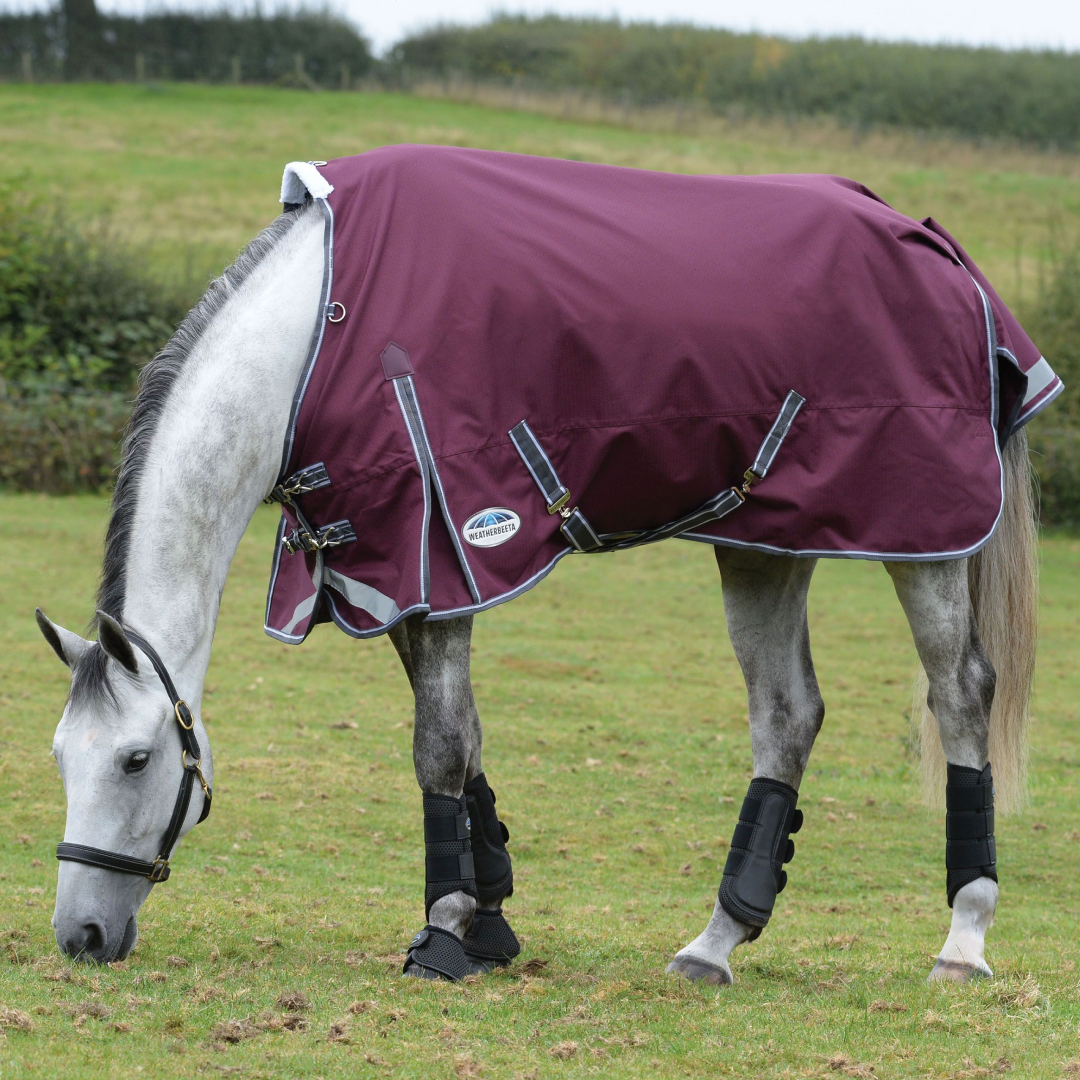 Weatherbeeta Comfitec Plus Dynamic II Standard Neck Lite