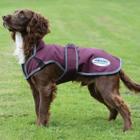 Weatherbeeta Comfitec Premier Free Parka Deluxe Dog Coat Medium
