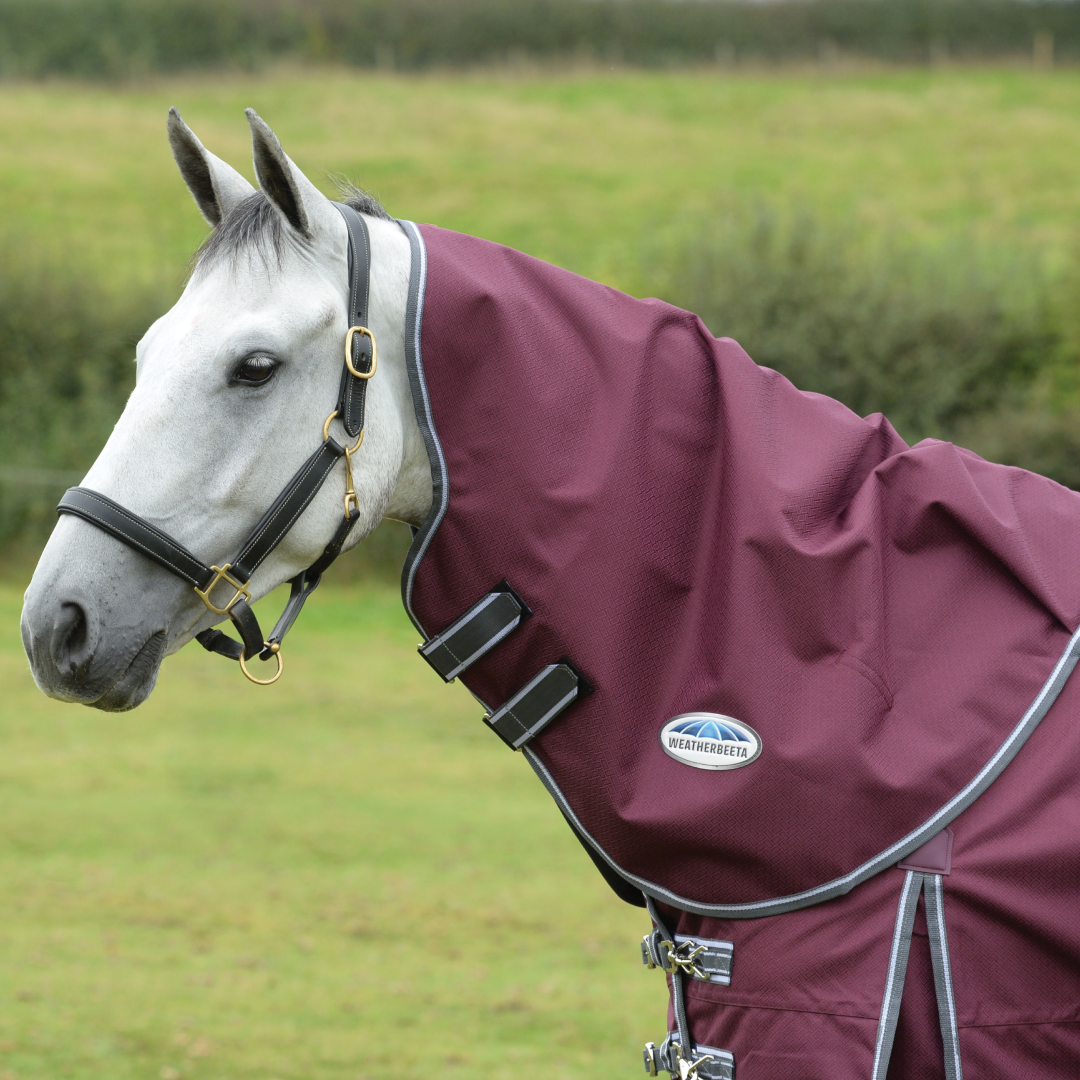 Weatherbeeta Comfitec Plus Dynamic II Neck Rug Medium/Lite