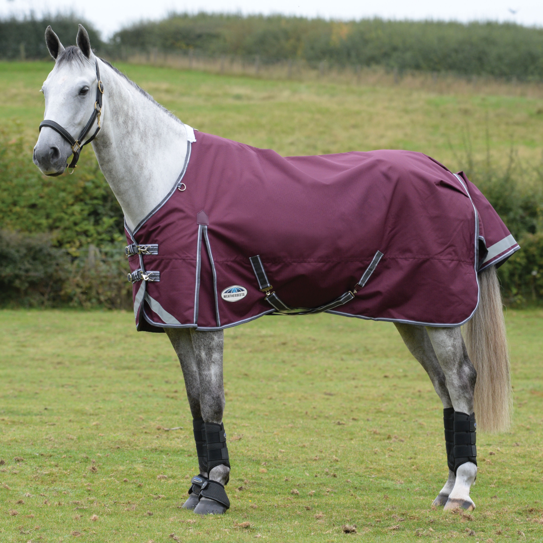 Weatherbeeta Comfitec Plus Dynamic II Standard Neck Medium/Lite
