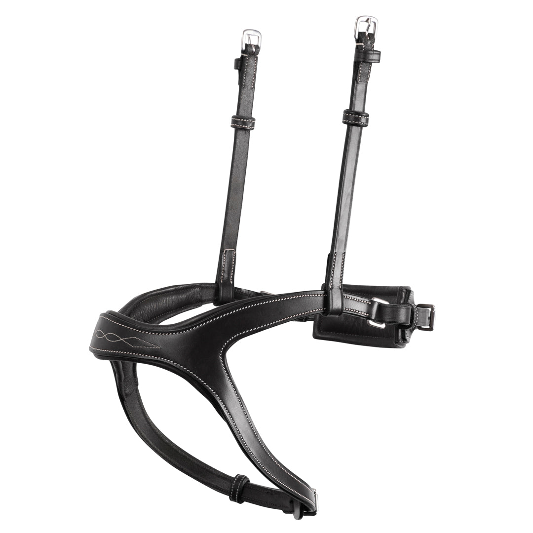Montar Monarch Adapt Noseband