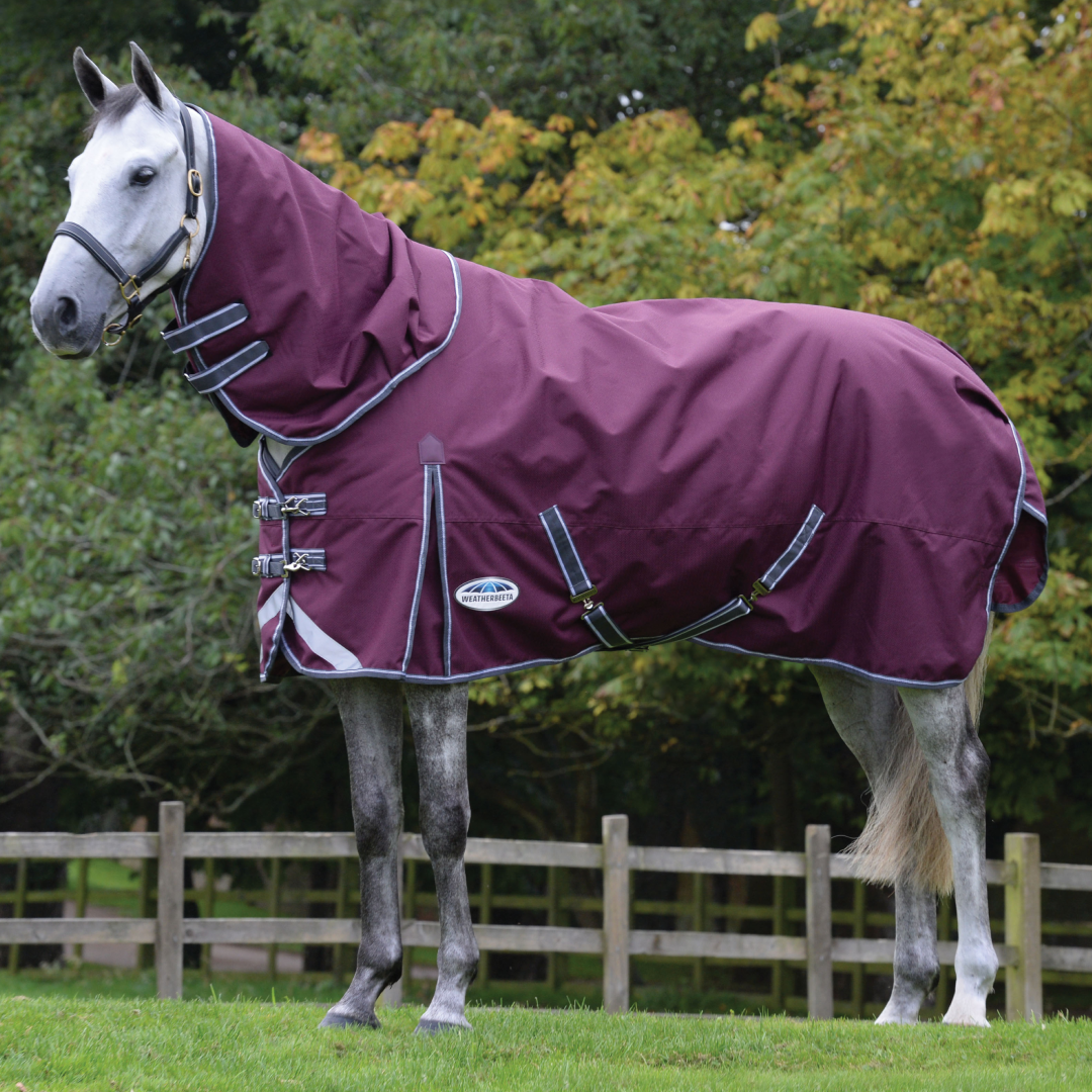 Weatherbeeta Comfitec Plus Dynamic II Detach-A-Neck Medium