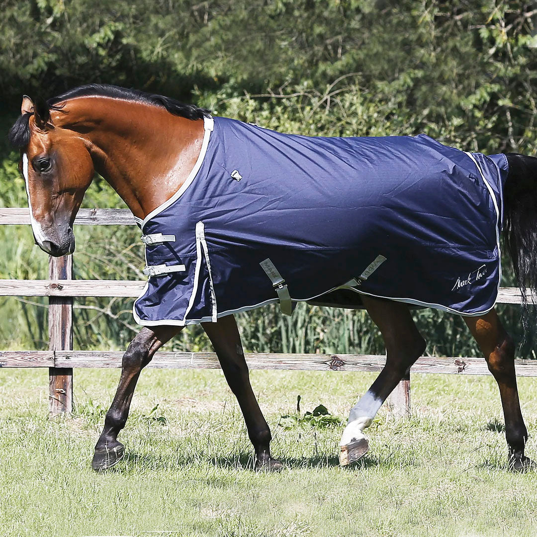 Mark Todd Autumner 150g Turnout Rug