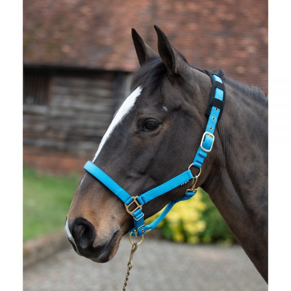 Mark Todd Deluxe Padded Headcollar & Leadrope