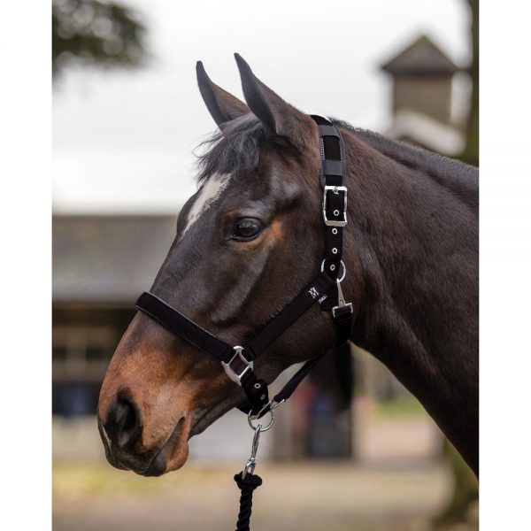 Mark Todd Deluxe Padded Headcollar & Leadrope