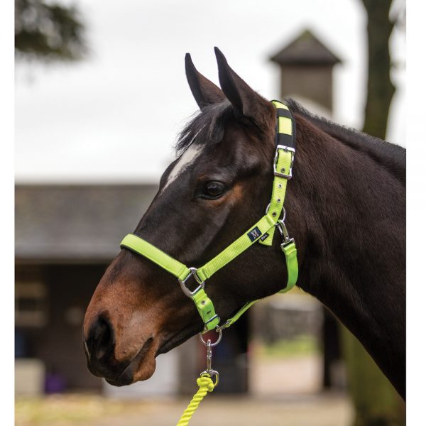 Mark Todd Deluxe Padded Headcollar & Leadrope