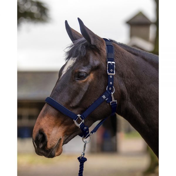 Mark Todd Deluxe Padded Headcollar & Leadrope