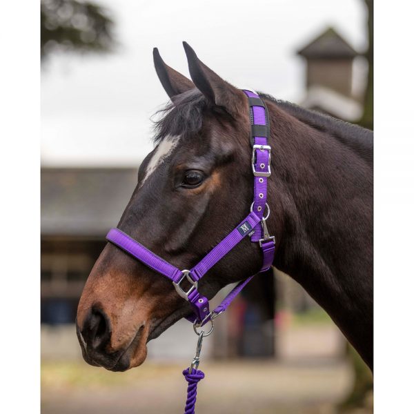 Mark Todd Deluxe Padded Headcollar & Leadrope