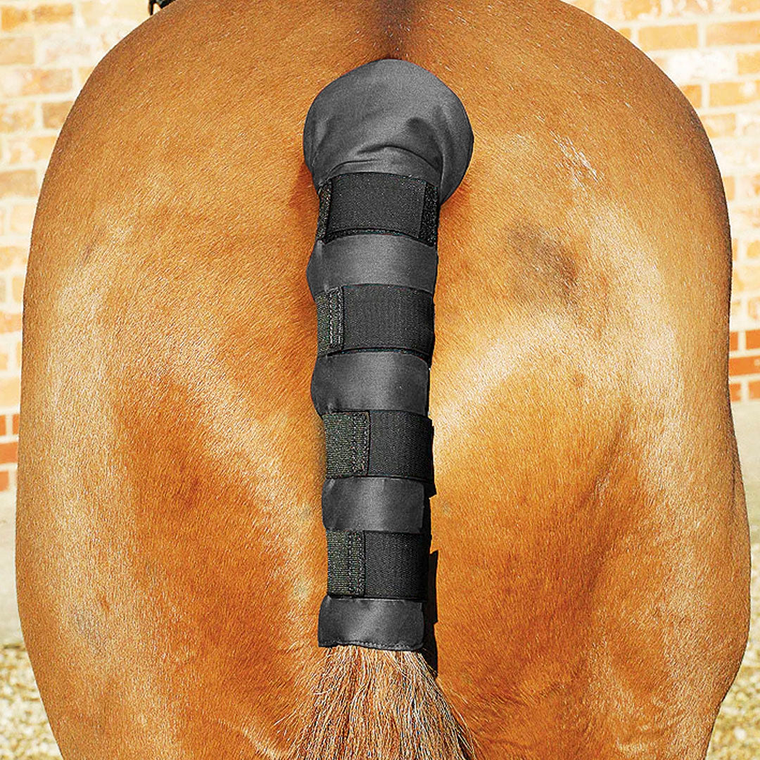 Mark Todd Padded Tail Guard