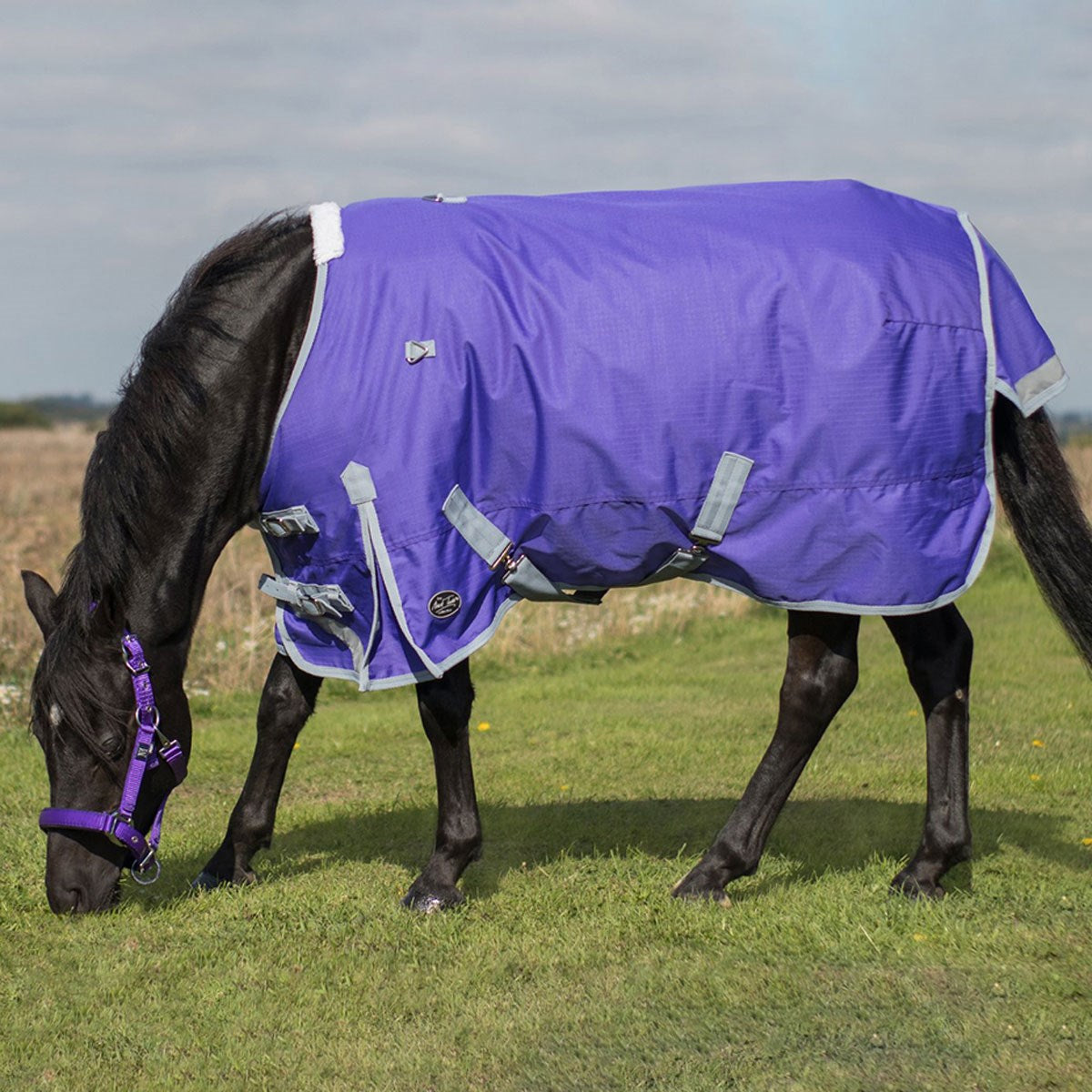 Mark Todd Lightweight Pony Turnout Pony Rug
