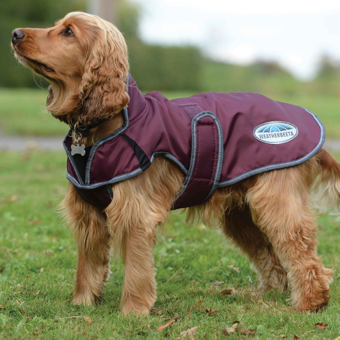 Weatherbeeta Comfitec Windbreaker Free Parka Deluxe Dog Coat