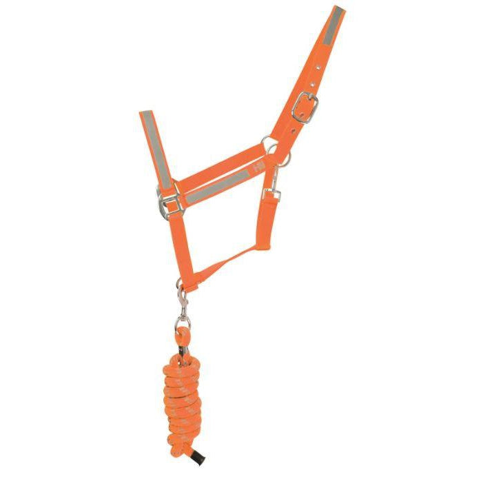 HyVIZ Reflector Head Collar and Lead Rope